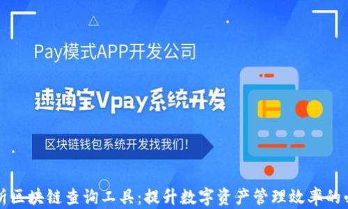 
全面解析区块链查询工具：提升数字资产管理效率的必备利器