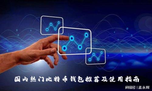 国内热门比特币钱包推荐及使用指南