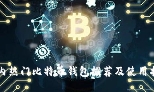 国内热门比特币钱包推荐及使用指南