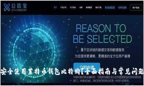 如何安全使用莱特币钱包比特购？全面指南与常见问题解答