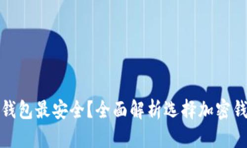 加密货币放哪个钱包最安全？全面解析选择加密钱包的标准与技巧