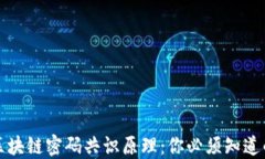 深入浅出区块链密码共识