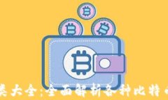 比特币钱包分类大全：全