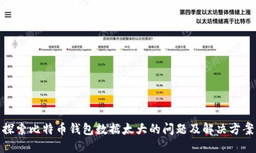 探索比特币钱包数据太大的问题及解决方案