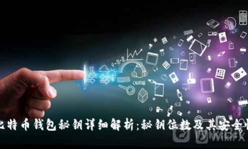 比特币钱包秘钥详细解析：秘钥位数及其安全性