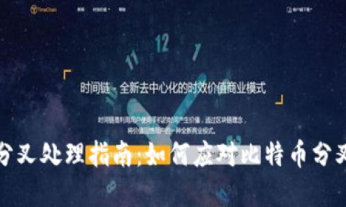 比特币钱包分叉处理指南：如何应对比特币分叉带来的挑战