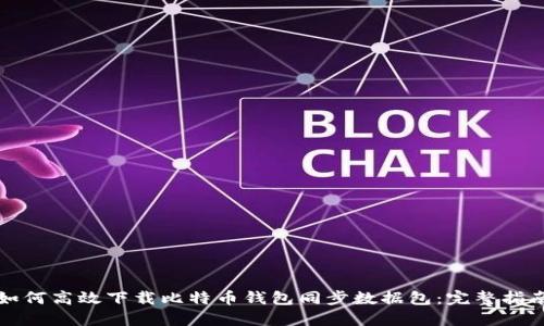 如何高效下载比特币钱包同步数据包：完整指南