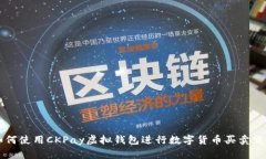 如何使用CKPay虚拟钱包进行