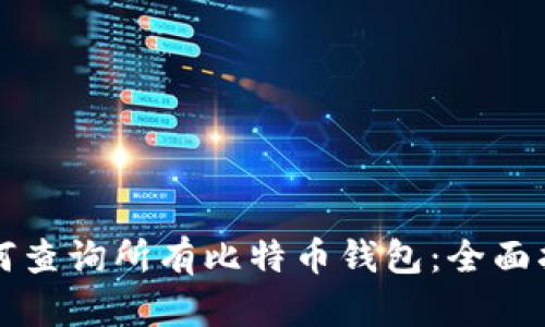 如何查询所有比特币钱包：全面指南