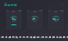  比特币在钱包里的价值波
