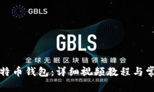如何使用比特币钱包：详细视频教程与常见问题解答
