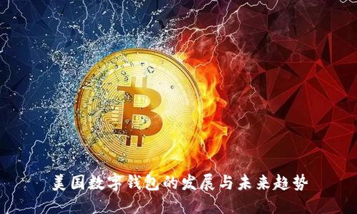 美国数字钱包的发展与未来趋势