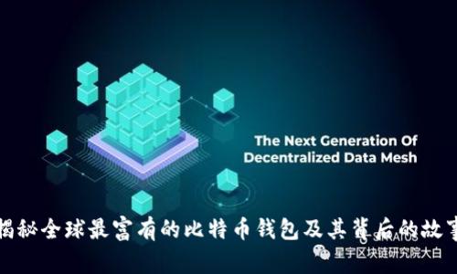 揭秘全球最富有的比特币钱包及其背后的故事