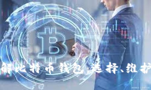 全面了解比特币钱包：选择、维护与安全