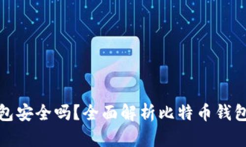 比特币钱包安全吗？全面解析比特币钱包的安全性
