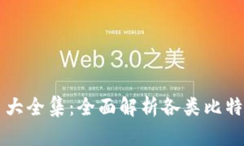 比特币钱包图片大全集：全面解析各类比特币钱包及其功能