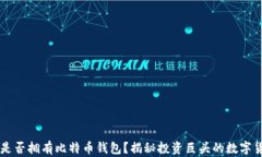 巴菲特是否拥有比特币钱