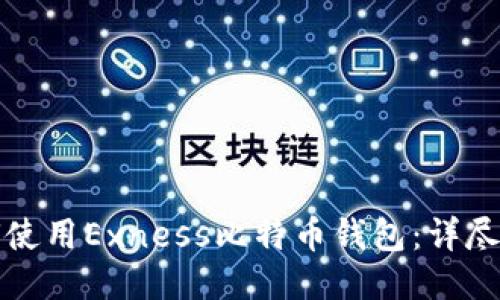 如何使用Exness比特币钱包：详尽指南
