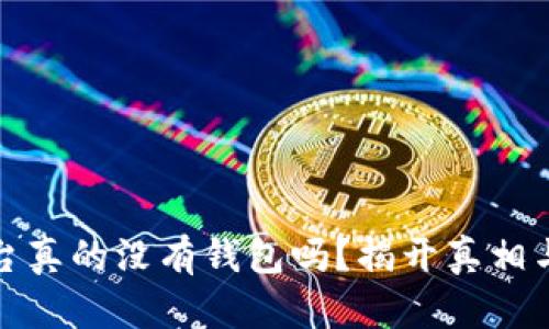 数字货币平台真的没有钱包吗？揭开真相与背后的秘密