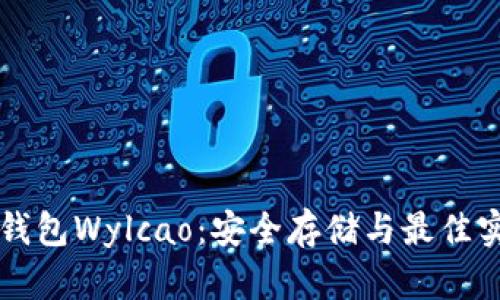 比特币钱包Wylcao：安全存储与最佳实践指南