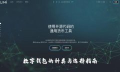 数字钱包的种类与选择指南