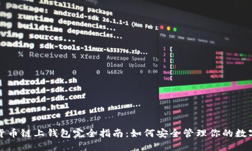 数字货币链上钱包完全指南：如何安全管理你的数字资产