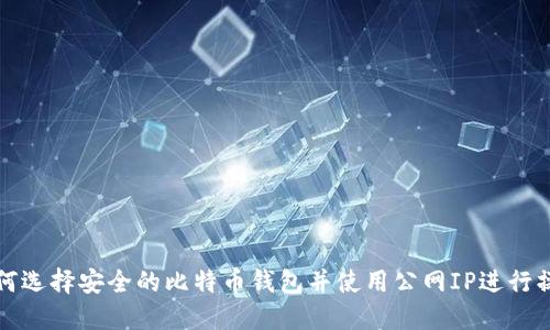如何选择安全的比特币钱包并使用公网IP进行操作