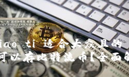 biao ti/biao ti 适合大众且的  
什么钱包可以存比特流币？全面解析和推荐