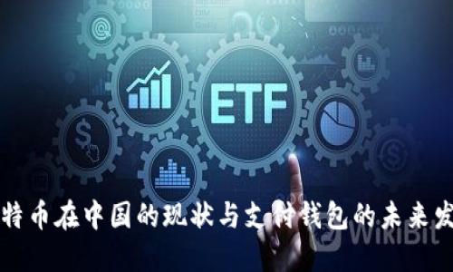 比特币在中国的现状与支付钱包的未来发展