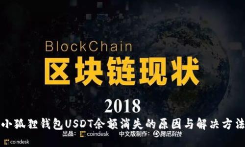 小狐狸钱包USDT余额消失的原因与解决方法