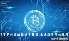 2023年新兴区块链项目解析