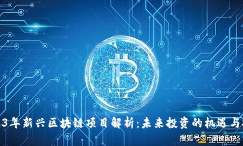 2023年新兴区块链项目解析：未来投资的机遇与挑战
