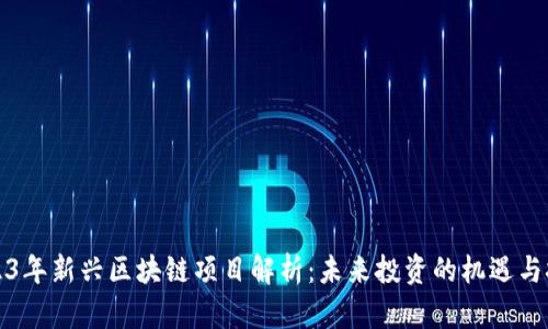 2023年新兴区块链项目解析：未来投资的机遇与挑战
