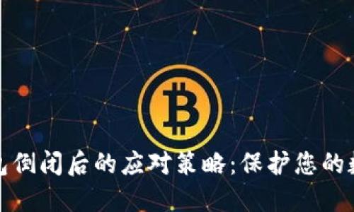 加密钱包倒闭后的应对策略：保护您的数字资产