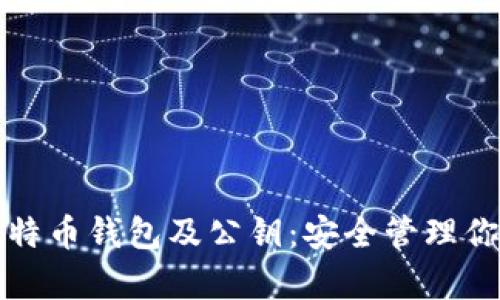 全面解析比特币钱包及公钥：安全管理你的数字资产