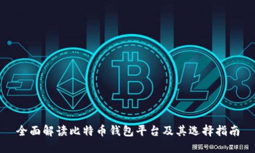 全面解读比特币钱包平台及其选择指南