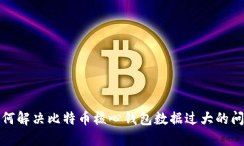 如何解决比特币核心钱包数据过大的问题