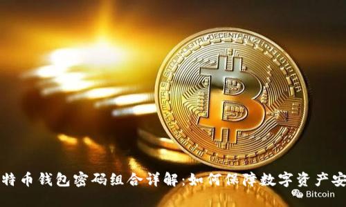 比特币钱包密码组合详解：如何保障数字资产安全