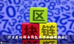 什么是比特币钱包及其区