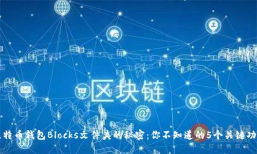 比特币钱包Blocks文件夹的秘密：你不知道的5个关键功能