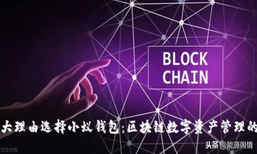 2023年5大理由选择小蚁钱包：区块链数字资产管理的最佳选择