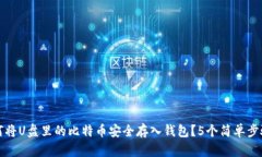 bianzhujia如何将U盘里的比特