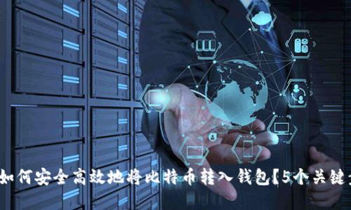 2023年如何安全高效地将比特币转入钱包？5个关键步骤详解