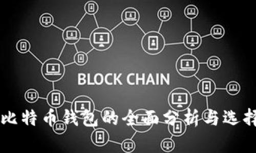 不同比特币钱包的全面分析与选择指南