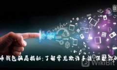 比特币钱包骗局揭秘：了解常见欺诈手法，保护