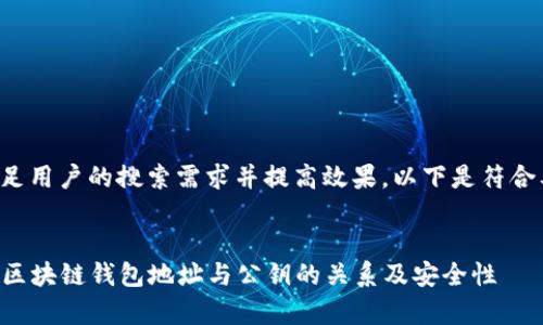 为了尽量满足用户的搜索需求并提高效果，以下是符合要求的内容：


  全面解析区块链钱包地址与公钥的关系及安全性