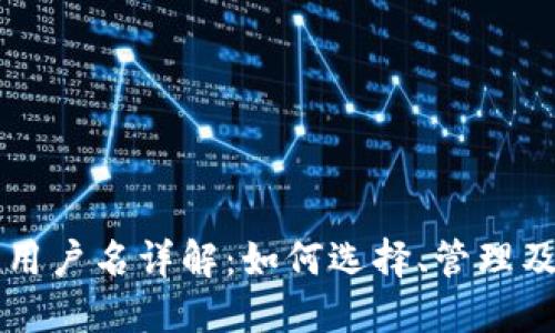 区块链钱包用户名详解：如何选择、管理及安全性指南