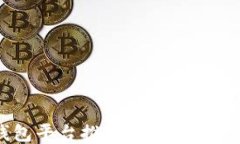 可靠的区块链钱包平台推荐：安全、易用与支持