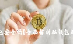 比特币脑钱包安全吗？全面解析脑钱包的优势与