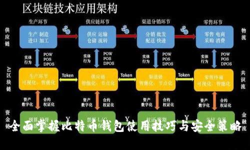 全面掌握比特币钱包使用技巧与安全策略